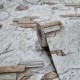 Tαπετσαρία 5768-02