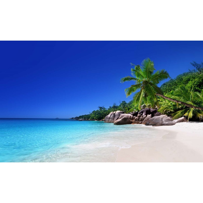 Fototapet Insula Praslin
